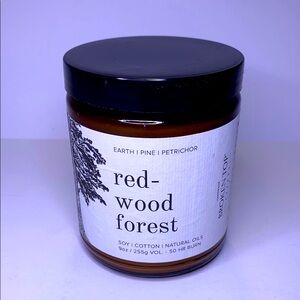 Candle - Redwood Forest